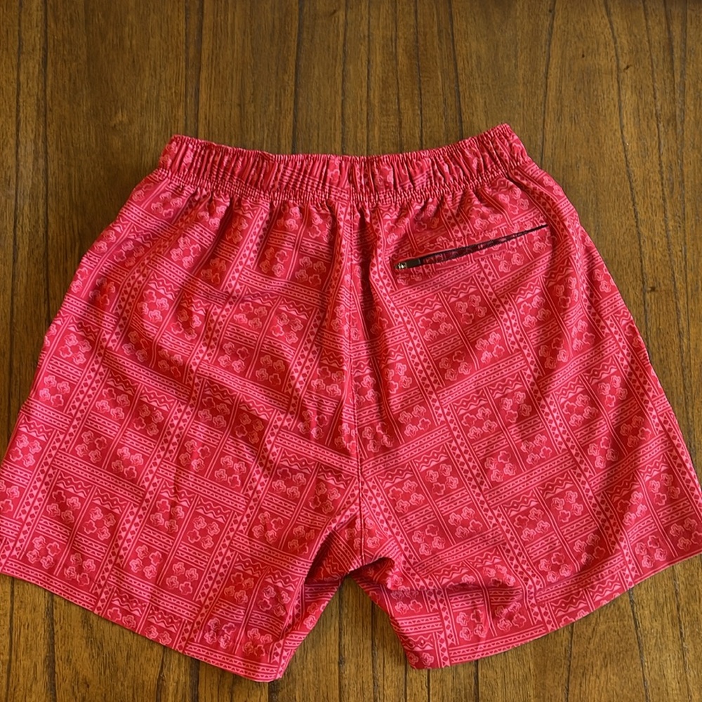 Bear Bottom Swim Trunks - image 2